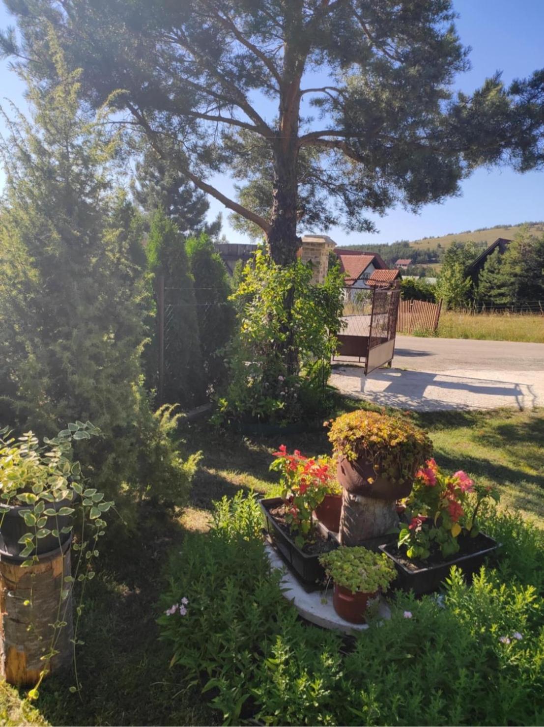 Apartman Marija Zlatibor Exterior foto